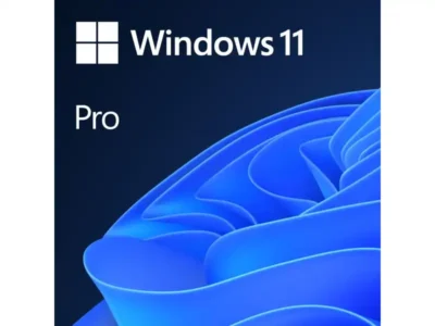 Windows 11 Pro